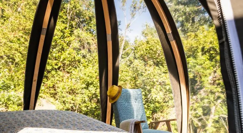 Bulles d'Olive Provence avec piscine - Jacuzzi en option - Image 1