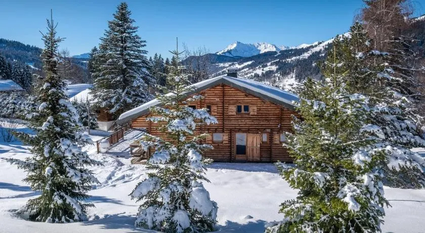 Chalet Joux Verte - OVO Network - Image 1