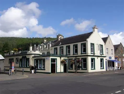 Green Tree Hotel - Image 1