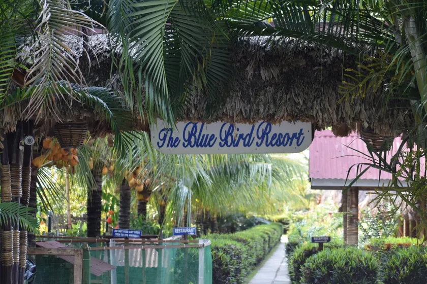 Blue Bird Resort - Image 1