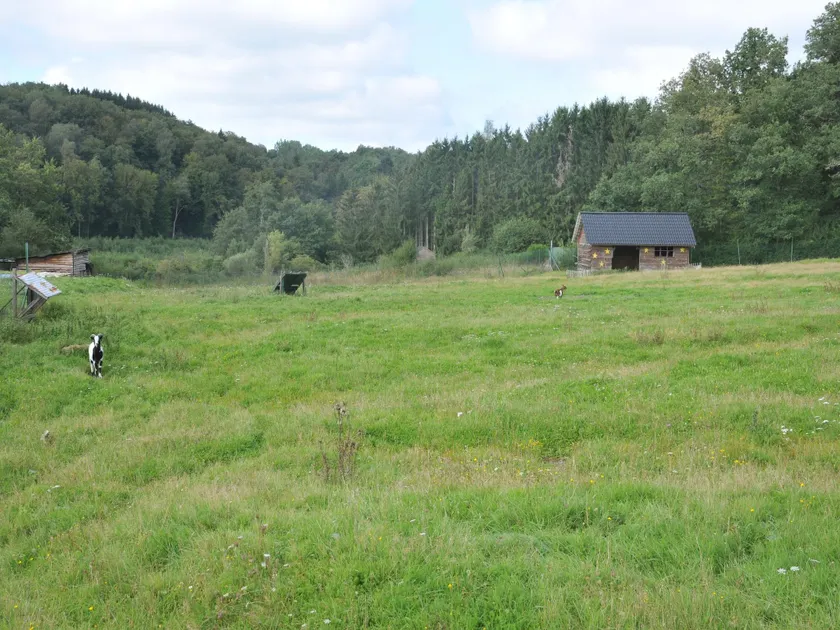 Cozy, Wooden Chalet With Deck, Just 15 Km. From Durbuy - Image 1