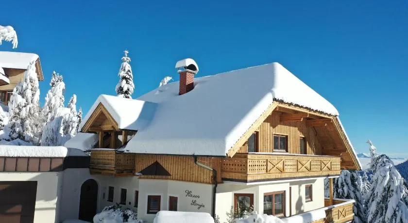 Bergchalet "Haus Sonja" - Image 1