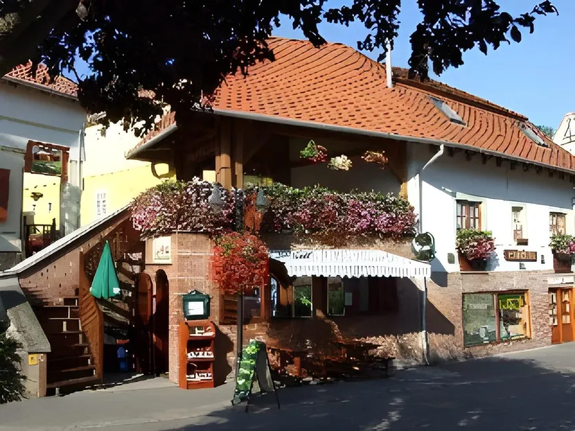 Vaskó Panzió Borpince - Image 1