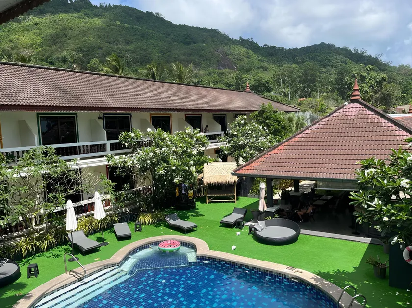 Tropical Palm - Image 1