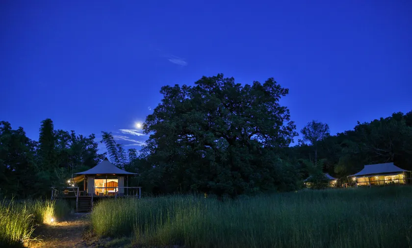 The Untamed Wilderness Camp Bandhavgarh by TUTC - Image 1