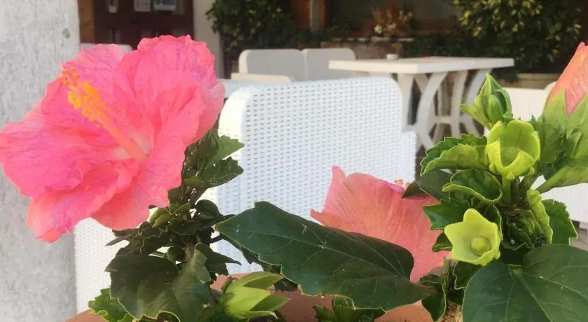 Hotel PINO LORICATO - Image 1