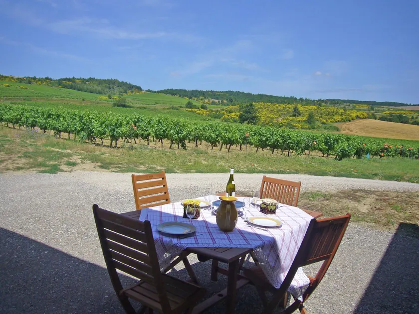 Villa in Conilhac with Private Terrace - Image 1
