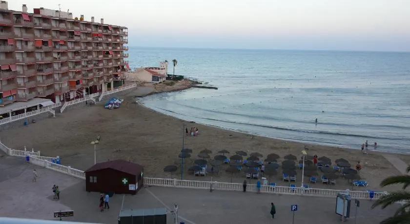 Palmeral de Torrevieja - Image 1