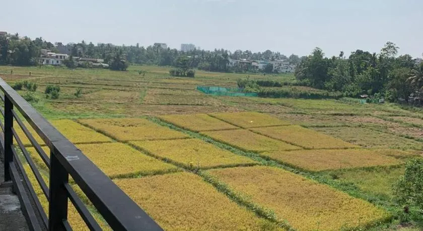 Paddy Field Home - Malabe - Image 1