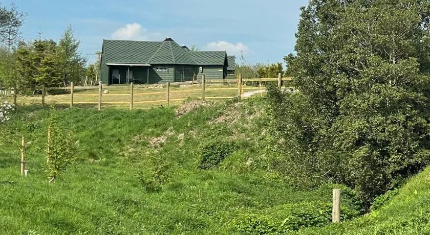 Holly Tree Glamping Cabins - Image 1