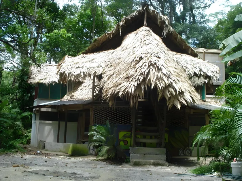 Se Ua - Image 1