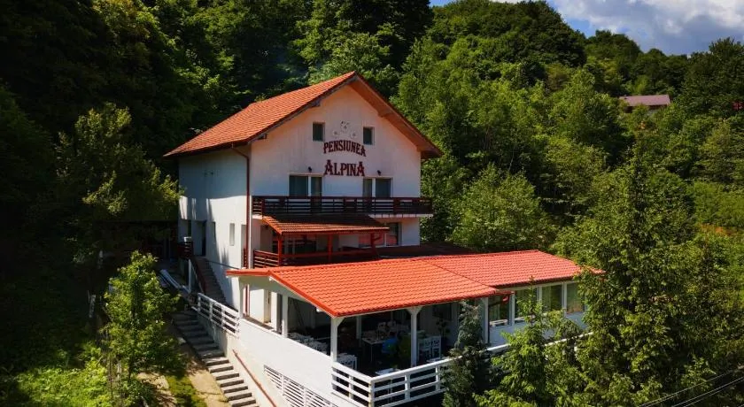 Pensiunea Alpina - Image 1