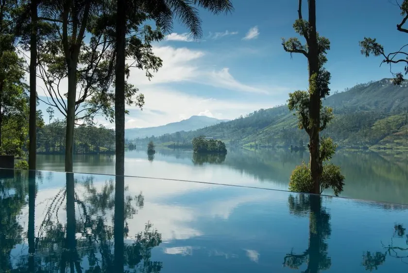 TEA TRAILS - Image 1
