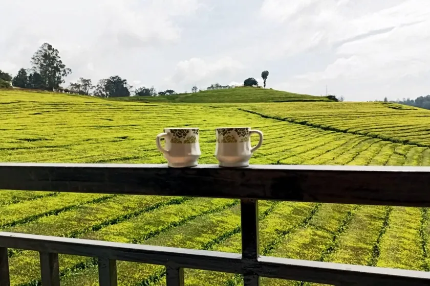 Tea Estate view Resort - Image 1