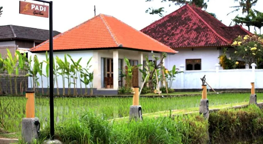 Padi guest house - Image 1