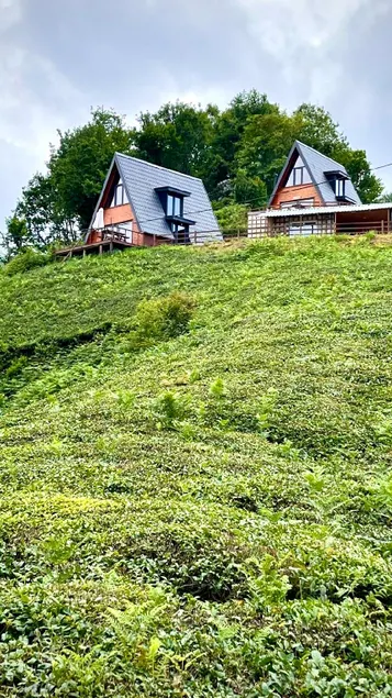 Elit Bungalov - Image 1