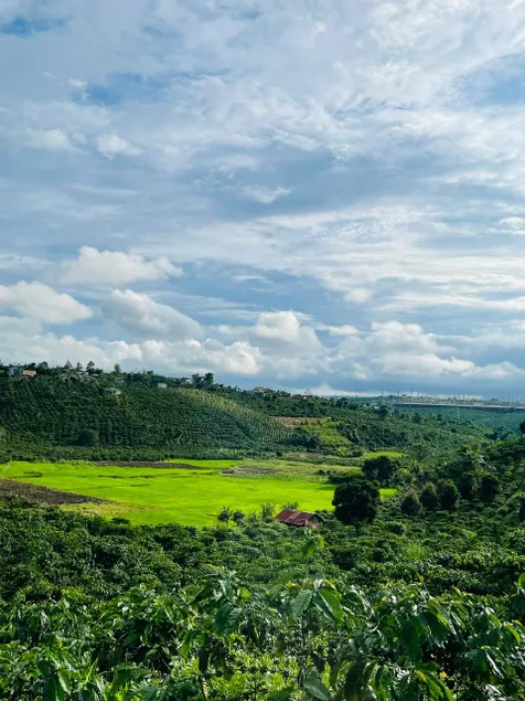Family homestay from HCMC to Highland Culture - Image 1