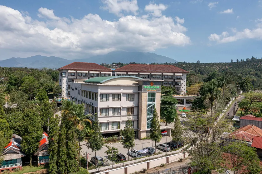 The Green Peak, ARTOTEL Curated - Image 1