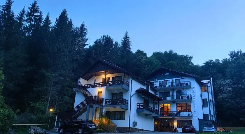 Hotel Trei Brazi - Image 1
