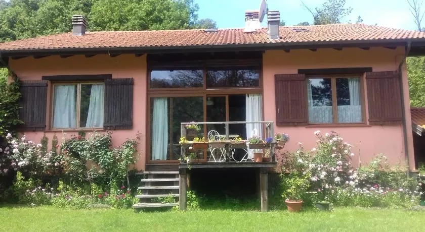 Il pettirosso di Giusvalla - Image 1