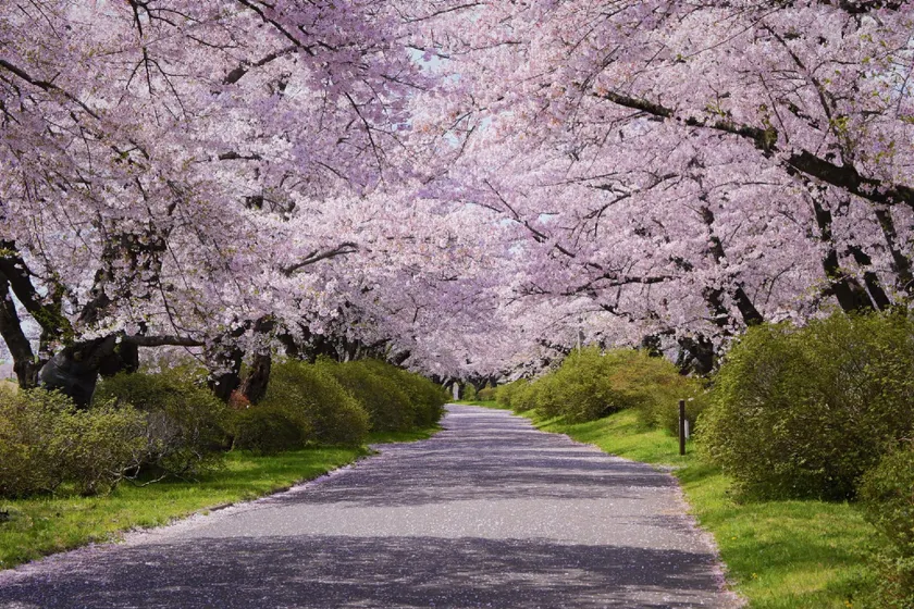 Dream Village Kitakami - Image 1