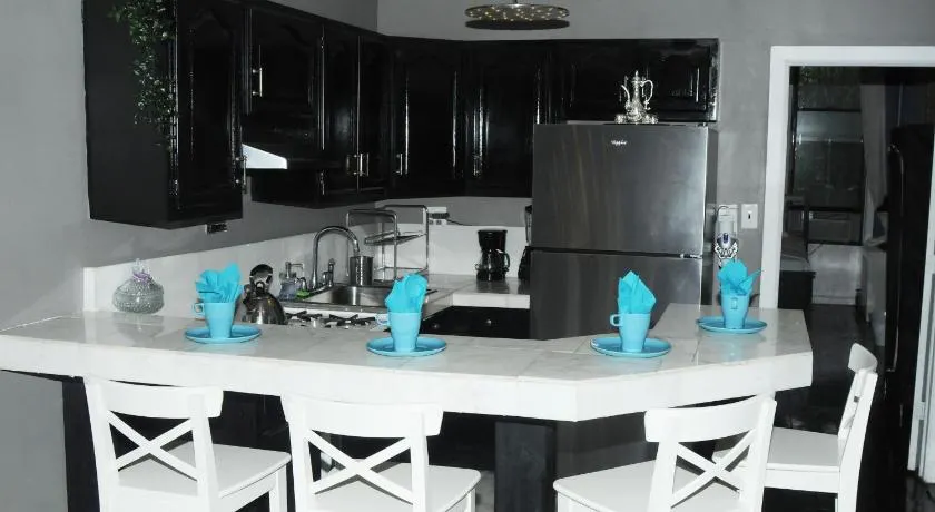 Plush Spacious 1 bedroom apt Williamsburg - Image 1