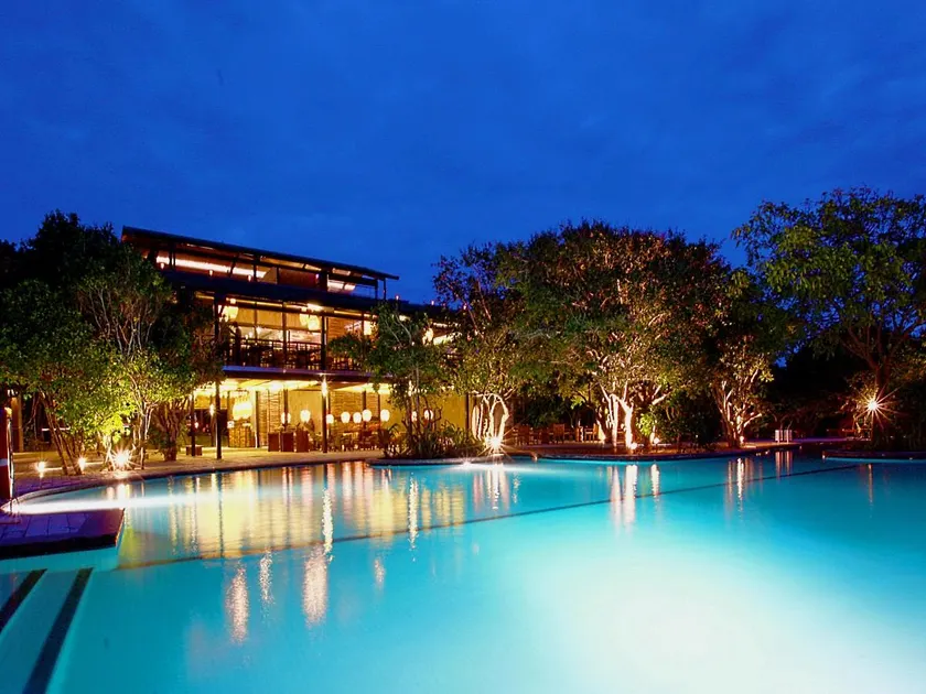 Cinnamon Wild Yala - Image 1