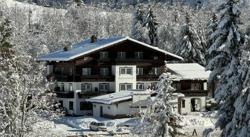 Pension Baranekhof - Just One Ski Bus Stop from Kitzsteinhorn Ski Resort - Image 1