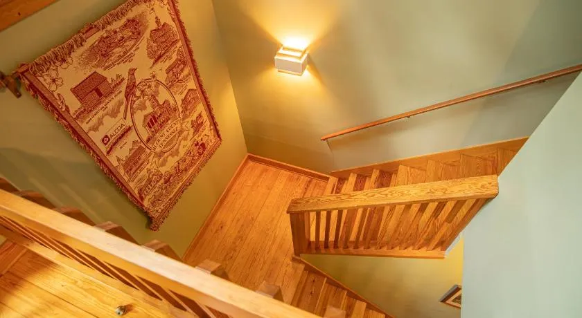 Tree House - Image 1