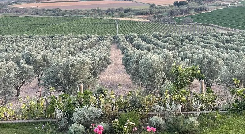 La Pizzuta del Principe - Image 1