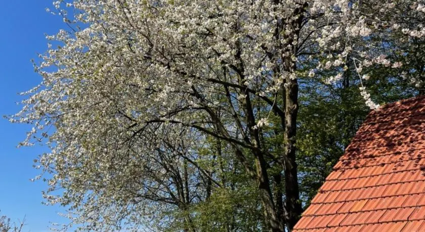 B&B Driel - Image 1