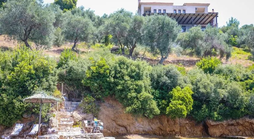 Skiathos Beach Villa Aphrodite - Image 1