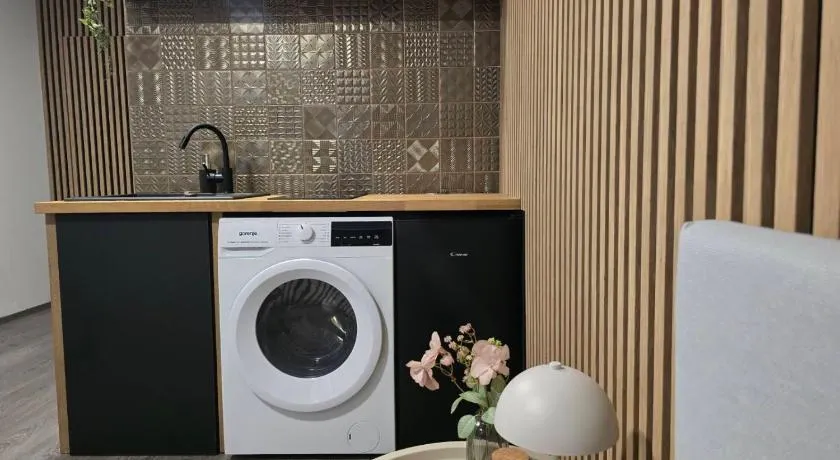 CENTRAL Apartman 2 - Image 1