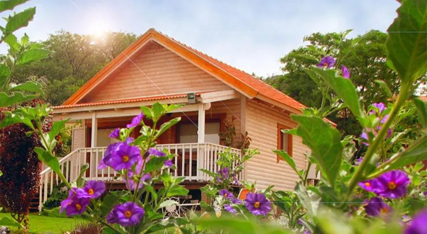 The Beautiful Cabins - Image 1