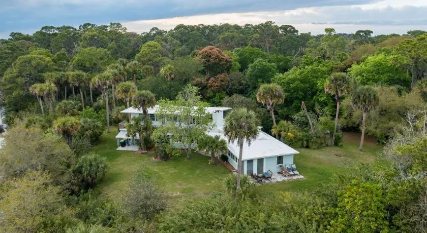 PALM POINT: Oasis In The Heart Of Melbourne - Image 1