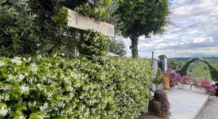 B&B L'Albero Di Antonia - Image 1