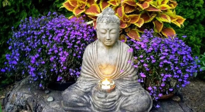 Studio Zen à Kirkland - Image 1
