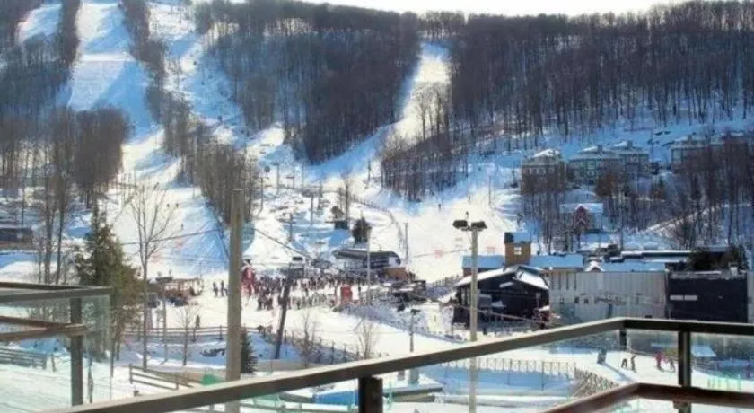Superbe ski-in ski-out condo - Image 1