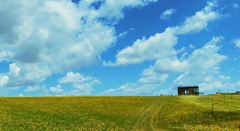 The tiny homes at The Original Farm - Image 1