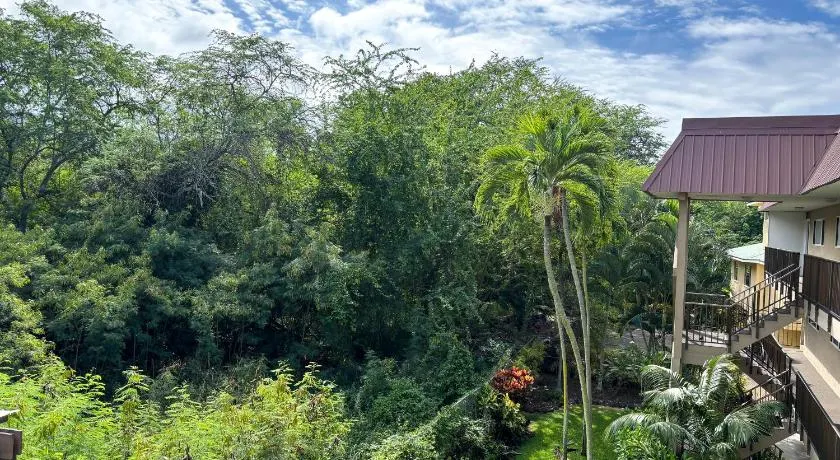 Tropical Paradise, Ocean Views, Birds, Sunsets, AC, 2 Mins from Beach - KP - Image 1