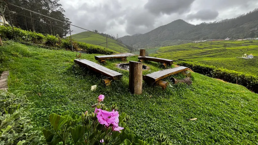 Tea Leaf Stays by Brown Tree Resort - Image 1