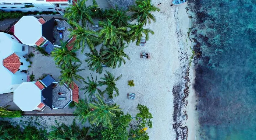 Casa Colibrí Tankah - Image 1