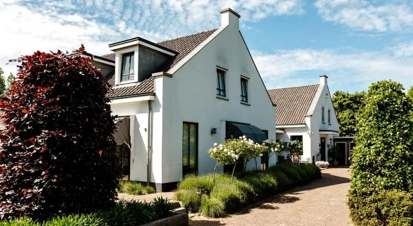 B&B Wijk aan Duin - Image 1