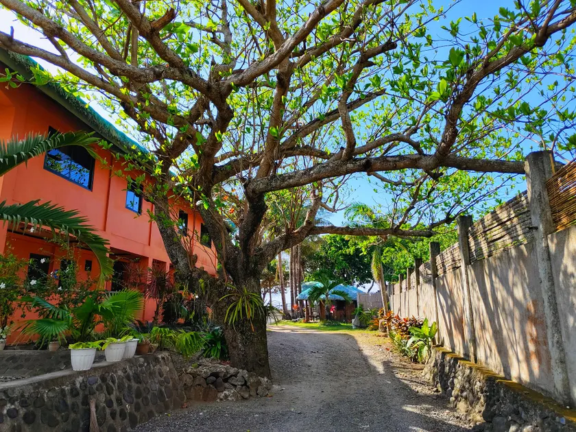 Natsuca Beach Resort - Image 1