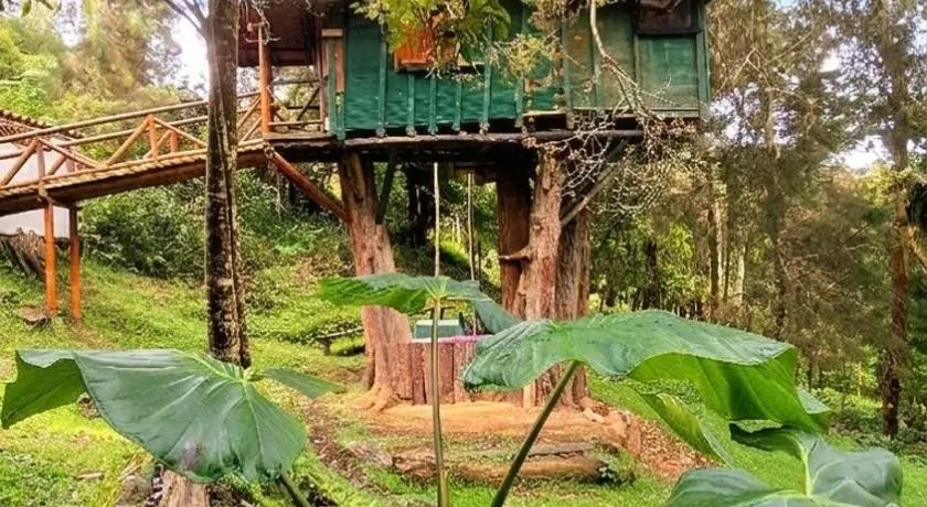 Casa en el Arbol - Cerca Metrocable ARVI - Camping - Image 1