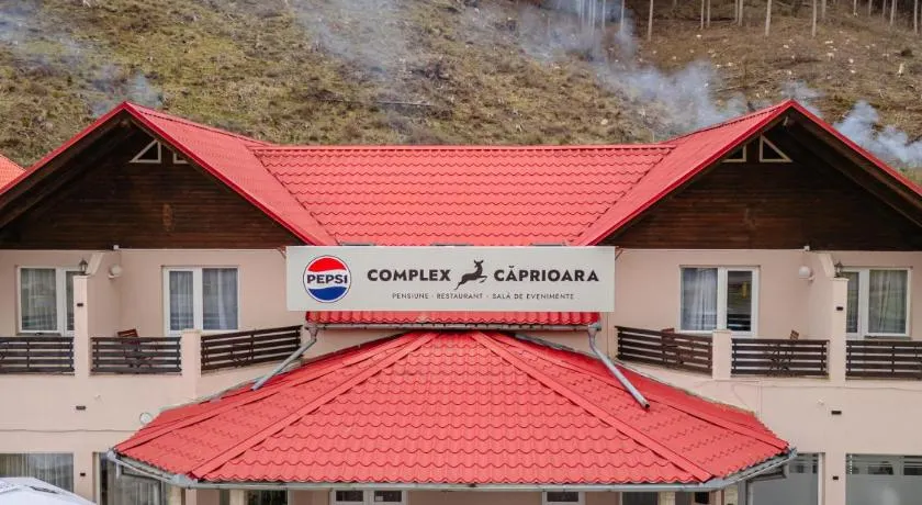 Pensiune Restaurant Căprioara Toplița - Image 1
