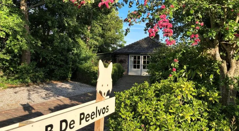 BnB De Peelvos - Image 1