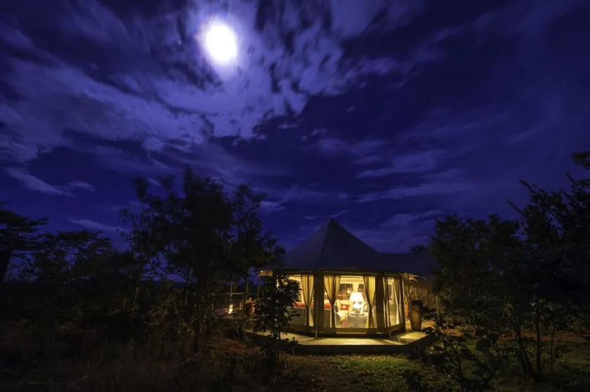 The Elephant Camp - Image 1