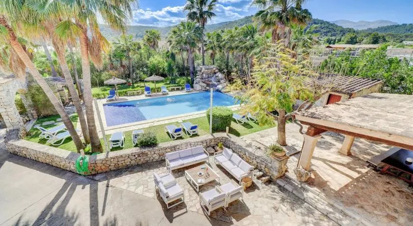 Las Palmeras - Image 1