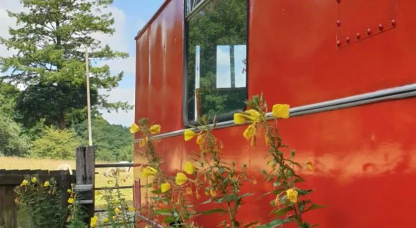 The Megabus near Tavistock and Dartmoor. - Image 1